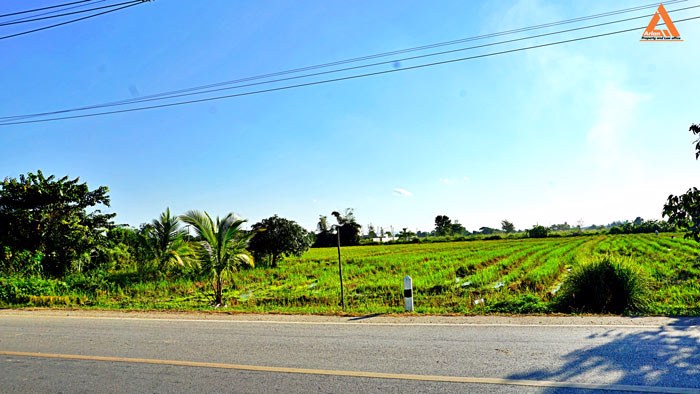 ขายที่ดิน-ติดถนน-ชม4015-ใกล้ถนนสันกำแพงสายใหม่-ไม่ไกลจากโครงการสนามบินใหม่