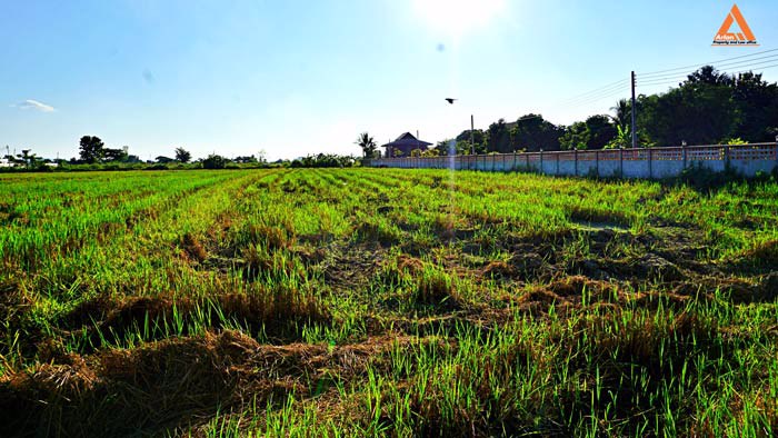 ขายที่ดิน-ติดถนน-ชม4015-ใกล้ถนนสันกำแพงสายใหม่-ไม่ไกลจากโครงการสนามบินใหม่