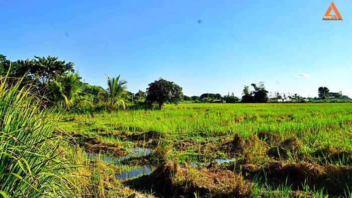 ขายที่ดิน-ติดถนน-ชม4015-ใกล้ถนนสันกำแพงสายใหม่-ไม่ไกลจากโครงการสนามบินใหม่