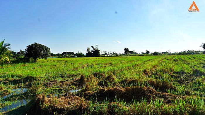 ขายที่ดิน-ติดถนน-ชม4015-ใกล้ถนนสันกำแพงสายใหม่-ไม่ไกลจากโครงการสนามบินใหม่