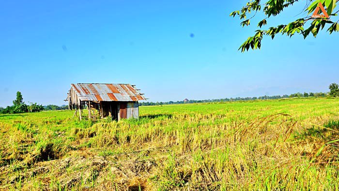ขายที่ดิน-ใกล้โรงพยาบาลสันกำแพง-ไม่ไกลจากโครงการก่อสร้างสนามบินใหม่