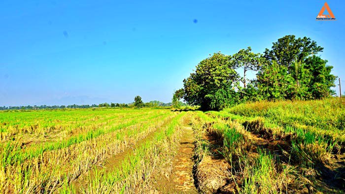 ขายที่ดิน-ใกล้โรงพยาบาลสันกำแพง-ไม่ไกลจากโครงการก่อสร้างสนามบินใหม่