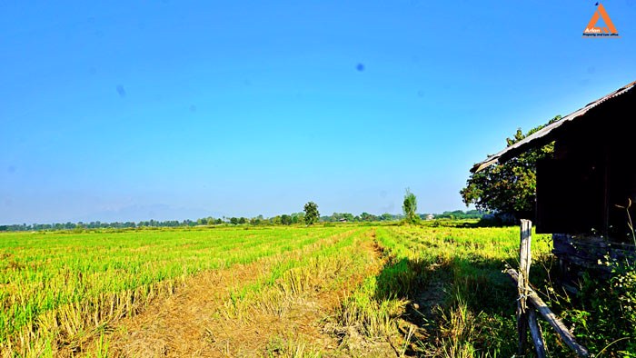 ขายที่ดิน-ใกล้โรงพยาบาลสันกำแพง-ไม่ไกลจากโครงการก่อสร้างสนามบินใหม่