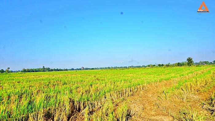 ขายที่ดิน-ใกล้โรงพยาบาลสันกำแพง-ไม่ไกลจากโครงการก่อสร้างสนามบินใหม่