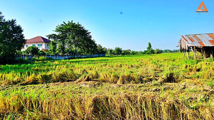 ขายที่ดิน-ใกล้โรงพยาบาลสันกำแพง-ไม่ไกลจากโครงการก่อสร้างสนามบินใหม่