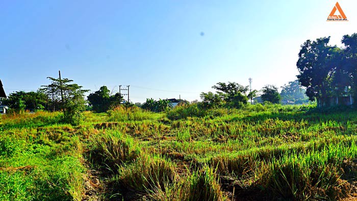 ขายที่ดิน-ใกล้โรงพยาบาลสันกำแพง-ไม่ไกลจากโครงการก่อสร้างสนามบินใหม่