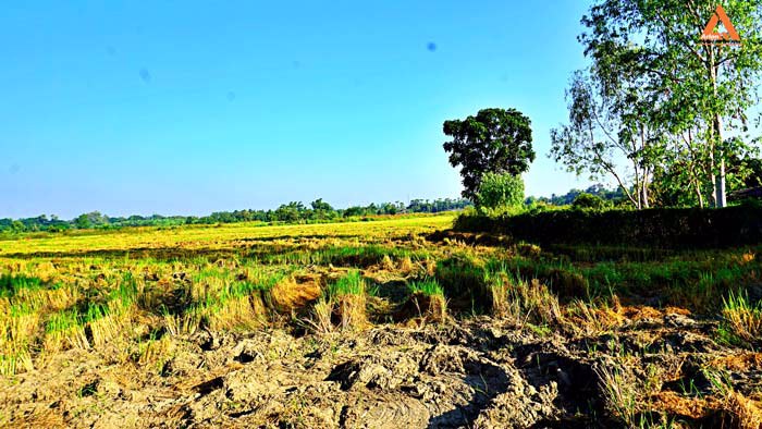 ขายที่ดิน-ราคาถูก-โซนบวกค้าง-ใกล้โรงพยาบาลสันกำแพง