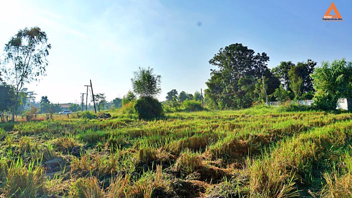 ขายที่ดิน-ราคาถูก-โซนบวกค้าง-ใกล้โรงพยาบาลสันกำแพง