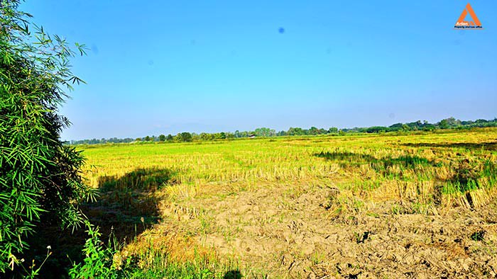 ขายที่ดิน-ราคาถูก-โซนบวกค้าง-ใกล้โรงพยาบาลสันกำแพง