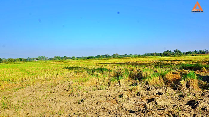 ขายที่ดิน-ราคาถูก-โซนบวกค้าง-ใกล้โรงพยาบาลสันกำแพง