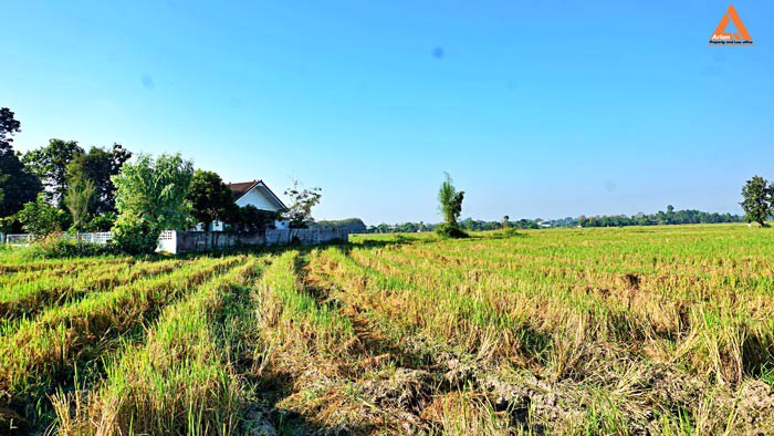 ขายที่ดิน-ราคาถูก-โซนบวกค้าง-ใกล้โรงพยาบาลสันกำแพง