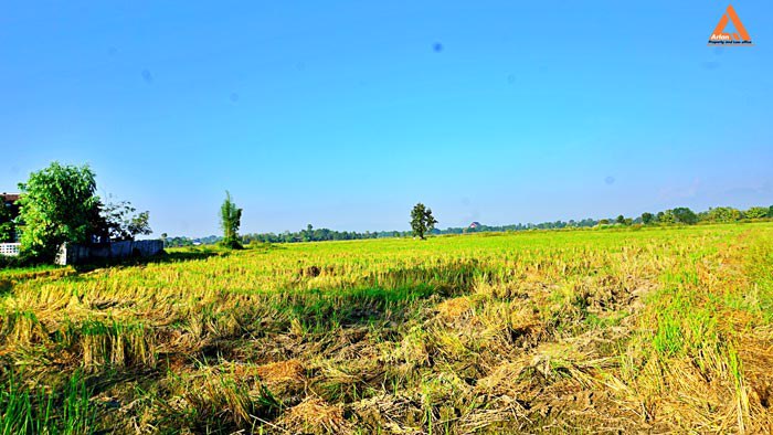 ขายที่ดิน-ราคาถูก-โซนบวกค้าง-ใกล้โรงพยาบาลสันกำแพง