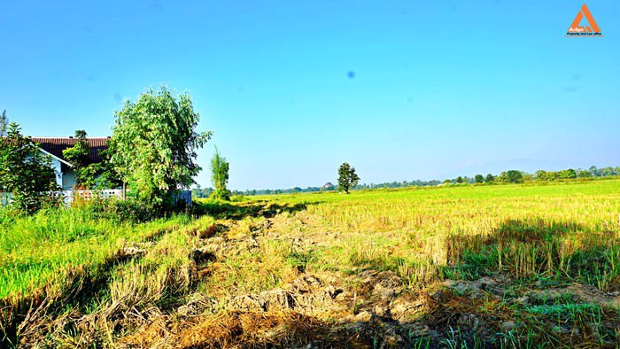 ขายที่ดิน-ราคาถูก-โซนบวกค้าง-ใกล้โรงพยาบาลสันกำแพง