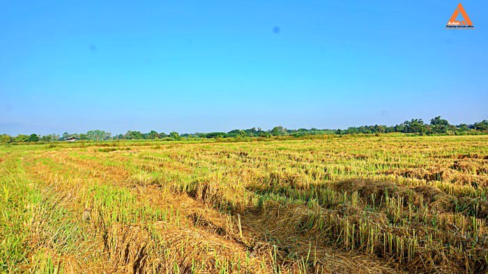 ขายที่ดิน-ราคาถูก-โซนบวกค้าง-ใกล้โรงพยาบาลสันกำแพง