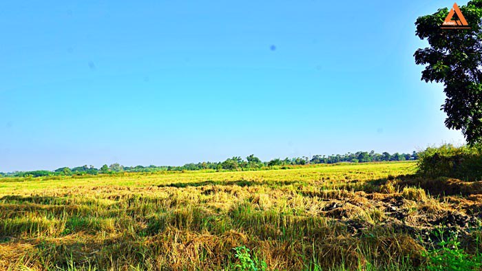 ขายที่ดิน-ราคาถูก-โซนบวกค้าง-ใกล้โรงพยาบาลสันกำแพง