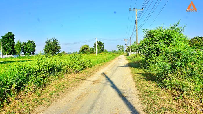 ขายที่ดิน-ราคาถูก-โซนบวกค้าง-ใกล้โรงพยาบาลสันกำแพง