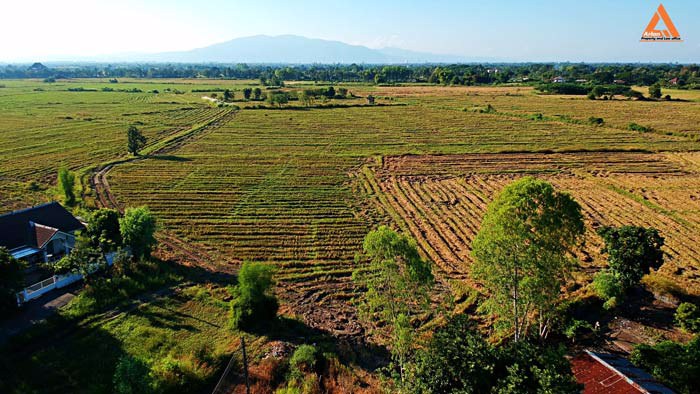 ขายที่ดิน-ราคาถูก-โซนบวกค้าง-ใกล้โรงพยาบาลสันกำแพง