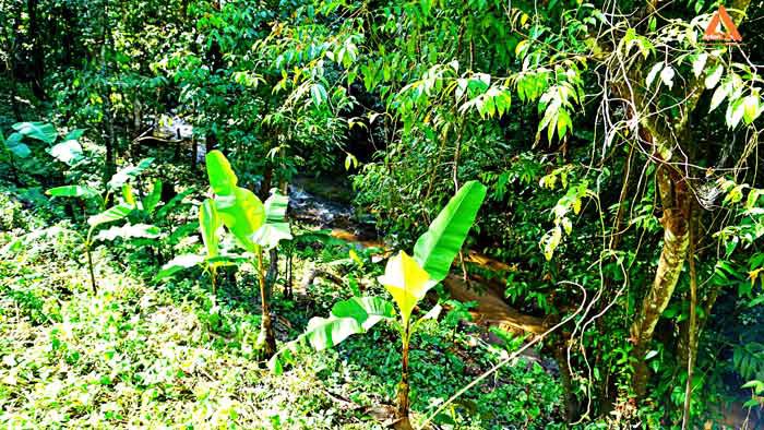 ขายที่ดิน-โซนแหล่งท่องเที่ยว-ม่อนแม่ลาย-แม่กำปอง-อำเภอแม่ออน-บรรยากาศริมน้ำ-วิวเขา-สุดชิว