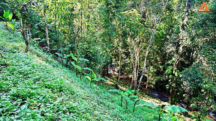 ขายที่ดิน-โซนแหล่งท่องเที่ยว-ม่อนแม่ลาย-แม่กำปอง-อำเภอแม่ออน-บรรยากาศริมน้ำ-วิวเขา-สุดชิว