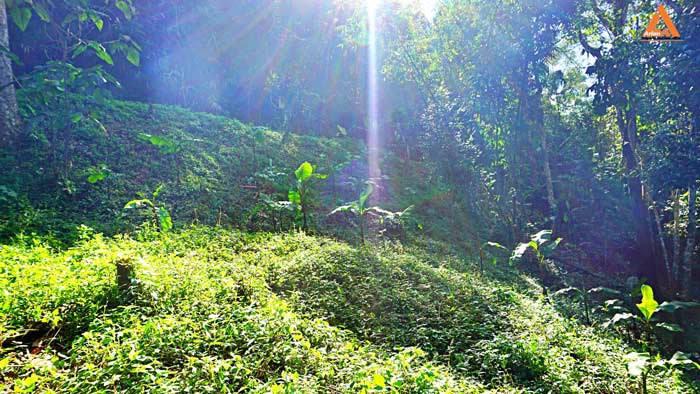 ขายที่ดิน-โซนแหล่งท่องเที่ยว-ม่อนแม่ลาย-แม่กำปอง-อำเภอแม่ออน-บรรยากาศริมน้ำ-วิวเขา-สุดชิว