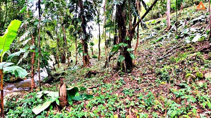 ขายที่ดิน-โซนแหล่งท่องเที่ยว-ม่อนแม่ลาย-แม่กำปอง-อำเภอแม่ออน-บรรยากาศริมน้ำ-วิวเขา-สุดชิว