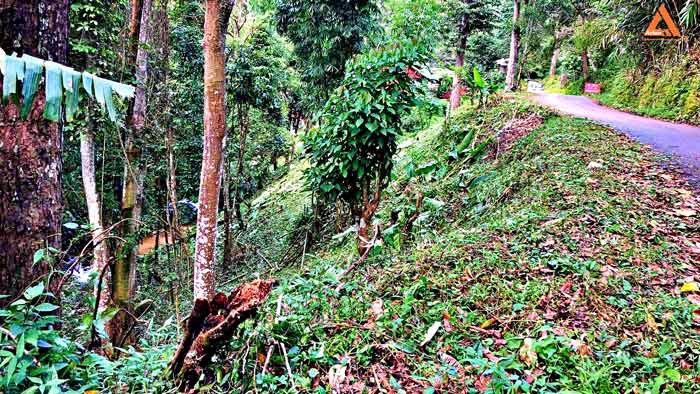 ขายที่ดิน-โซนแหล่งท่องเที่ยว-ม่อนแม่ลาย-แม่กำปอง-อำเภอแม่ออน-บรรยากาศริมน้ำ-วิวเขา-สุดชิว