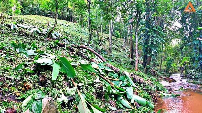 ขายที่ดิน-โซนแหล่งท่องเที่ยว-ม่อนแม่ลาย-แม่กำปอง-อำเภอแม่ออน-บรรยากาศริมน้ำ-วิวเขา-สุดชิว