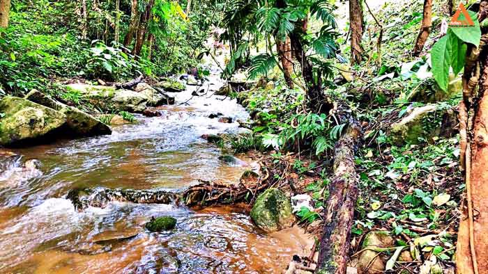 ขายที่ดิน-โซนแหล่งท่องเที่ยว-ม่อนแม่ลาย-แม่กำปอง-อำเภอแม่ออน-บรรยากาศริมน้ำ-วิวเขา-สุดชิว