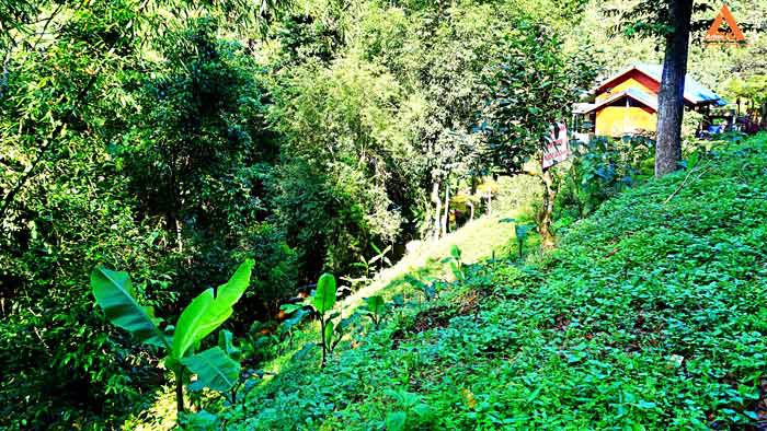 ขายที่ดิน-โซนแหล่งท่องเที่ยว-ม่อนแม่ลาย-แม่กำปอง-อำเภอแม่ออน-บรรยากาศริมน้ำ-วิวเขา-สุดชิว