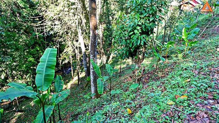 ขายที่ดิน-โซนแหล่งท่องเที่ยว-ม่อนแม่ลาย-แม่กำปอง-อำเภอแม่ออน-บรรยากาศริมน้ำ-วิวเขา-สุดชิว