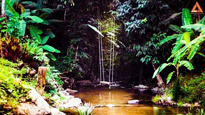 ขายที่ดิน-โซนแหล่งท่องเที่ยว-ม่อนแม่ลาย-แม่กำปอง-อำเภอแม่ออน-บรรยากาศริมน้ำ-วิวเขา-สุดชิว