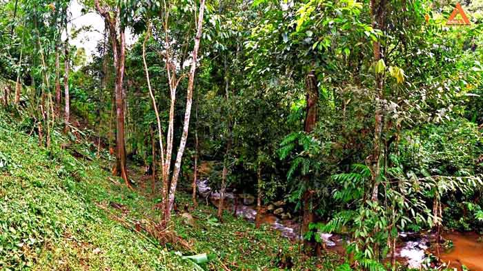 ขายที่ดิน-โซนแหล่งท่องเที่ยว-ม่อนแม่ลาย-แม่กำปอง-อำเภอแม่ออน-บรรยากาศริมน้ำ-วิวเขา-สุดชิว