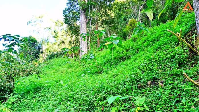 ขายที่ดิน-โซนแหล่งท่องเที่ยว-ม่อนแม่ลาย-แม่กำปอง-อำเภอแม่ออน-บรรยากาศริมน้ำ-วิวเขา-สุดชิว