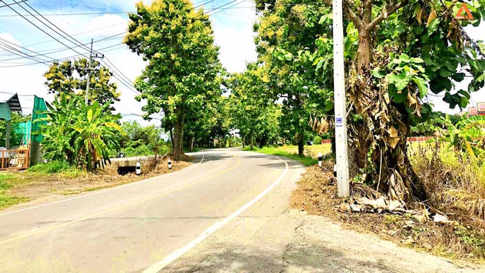 ขายที่ดินวิวเขาสวยๆ-ใกล้ถนนสันกำแพงสายใหม่-ตำบลแช่ช้าง-อำเภอสันกำแพง