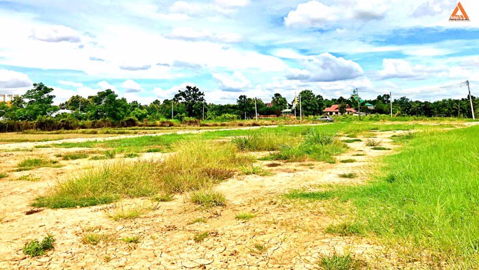 ขายที่ดินวิวเขาสวยๆ-ใกล้ถนนสันกำแพงสายใหม่-ตำบลแช่ช้าง-อำเภอสันกำแพง