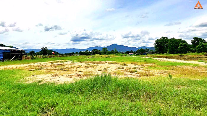 ขายที่ดินวิวเขาสวยๆ-ใกล้ถนนสันกำแพงสายใหม่-ตำบลแช่ช้าง-อำเภอสันกำแพง