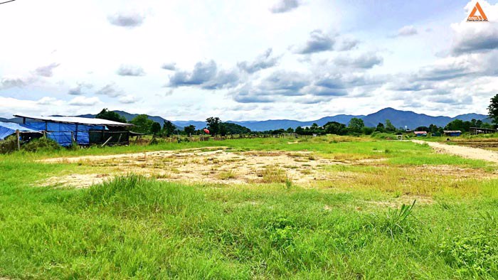 ขายที่ดินวิวเขาสวยๆ-ใกล้ถนนสันกำแพงสายใหม่-ตำบลแช่ช้าง-อำเภอสันกำแพง