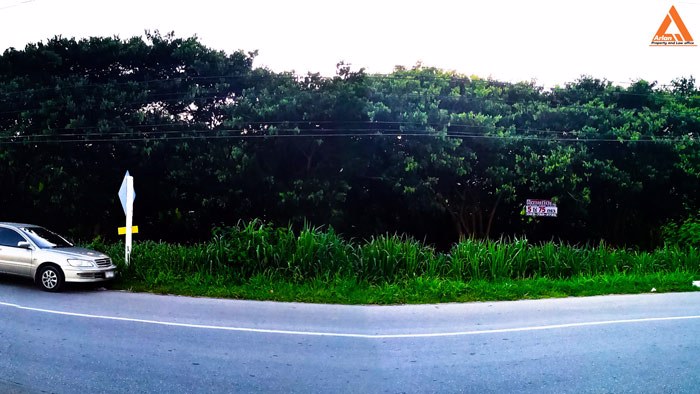 ขายที่ดิน-ติดถนนใหญ่-อสันป่าตอง-รองรับโครงการปรับปรุงขยายทางแยก-ทางลอดต่างระดับ