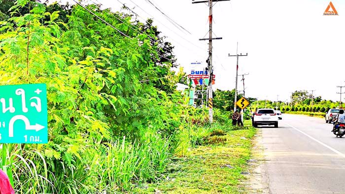 ขายที่ดิน-ติดถนนใหญ่-อสันป่าตอง-รองรับโครงการปรับปรุงขยายทางแยก-ทางลอดต่างระดับ