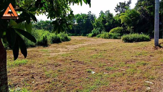 ขายที่ดิน-199-ตรว-ติดกาดฝรั่ง-หางดง-เชียงใหม่-เหมาะทำหอพัก-โรงแรม-ใกล้แหล่งงาน-และแหล่งช็อปปิ้ง