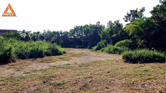 ขายที่ดิน-199-ตรว-ติดกาดฝรั่ง-หางดง-เชียงใหม่-เหมาะทำหอพัก-โรงแรม-ใกล้แหล่งงาน-และแหล่งช็อปปิ้ง