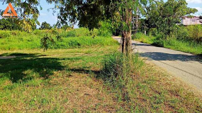 ขายที่ดิน-199-ตรว-ติดกาดฝรั่ง-หางดง-เชียงใหม่-เหมาะทำหอพัก-โรงแรม-ใกล้แหล่งงาน-และแหล่งช็อปปิ้ง