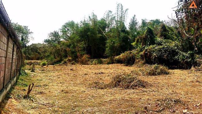 ปรับลดราคา-ขายที่ดิน-ใกล้ถนนใหญ่-ตำบลดอนแก้ว-อำเภอแม่ริม-จังหวัดเชียงใหม่