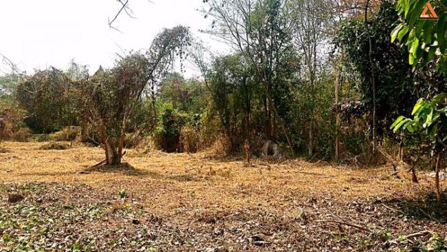 ปรับลดราคา-ขายที่ดิน-ใกล้ถนนใหญ่-ตำบลดอนแก้ว-อำเภอแม่ริม-จังหวัดเชียงใหม่