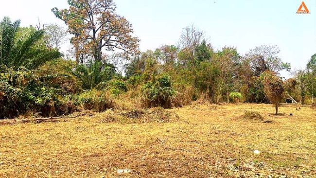 ปรับลดราคา-ขายที่ดิน-ใกล้ถนนใหญ่-ตำบลดอนแก้ว-อำเภอแม่ริม-จังหวัดเชียงใหม่