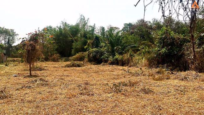 ปรับลดราคา-ขายที่ดิน-ใกล้ถนนใหญ่-ตำบลดอนแก้ว-อำเภอแม่ริม-จังหวัดเชียงใหม่