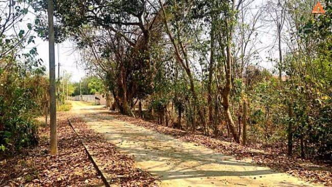 ปรับลดราคา-ขายที่ดิน-ใกล้ถนนใหญ่-ตำบลดอนแก้ว-อำเภอแม่ริม-จังหวัดเชียงใหม่