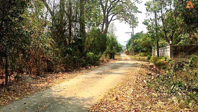 ปรับลดราคา-ขายที่ดิน-ใกล้ถนนใหญ่-ตำบลดอนแก้ว-อำเภอแม่ริม-จังหวัดเชียงใหม่