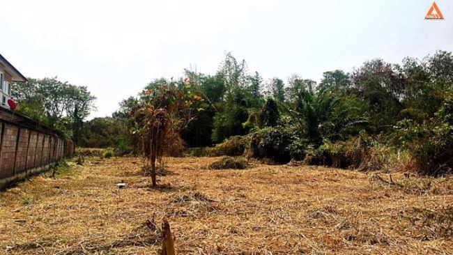 ปรับลดราคา-ขายที่ดิน-ใกล้ถนนใหญ่-ตำบลดอนแก้ว-อำเภอแม่ริม-จังหวัดเชียงใหม่