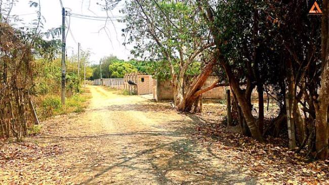 ปรับลดราคา-ขายที่ดิน-ใกล้ถนนใหญ่-ตำบลดอนแก้ว-อำเภอแม่ริม-จังหวัดเชียงใหม่